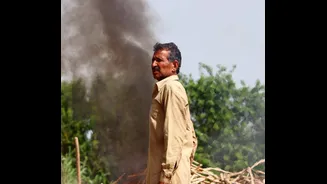 Haryana Achieves 91% Reduction in Paddy Stubble Burning Since 2021