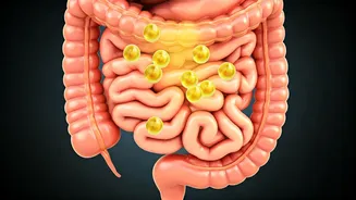 Ghee & Oil: The Body's Response to Dietary Changes
