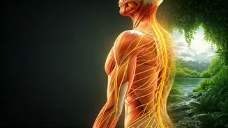 Revitalize Your Health: Swami Ramdev's Yoga for Weak Nerves and Muscles Amidst Changing Nature