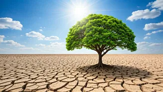 Staying Resilient: Mental Fortitude in Challenging Times