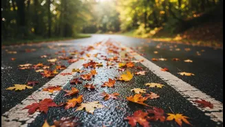 Pachmarhi Runners Need To Watch For Leaves, Mud And Painted Road Markings