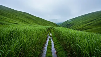 Explore Vagamon Valleys On Budget For Pristine Rain Filled Vacations