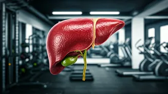 Exercise Can Help Fatty Liver Disease