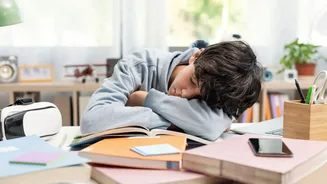 Jet lag social: entenda o efeito de dormir tarde e acordar cedo