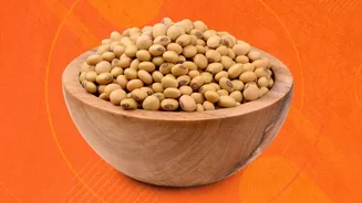 India's Protein Boom Reaches Dairy Bakery Snacks and Ready Meals