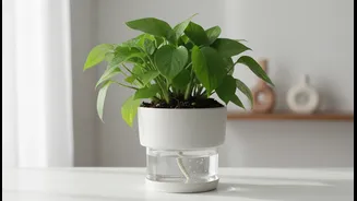 How sub-irrigated capillary pots deliver precise hydration to houseplants without daily monitoring