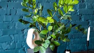 How Gen Z Decorates Small Apartments Using Plastic Free Indian Handicrafts Daily