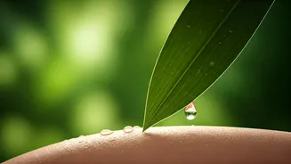 Monsoon Beauty Is Looking Very Different Now