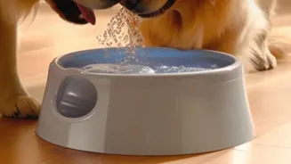 Water Bowls Need Cleaning and Placement That Encourages Drinking