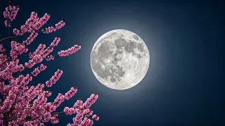 April's Pink Moon: Unveiling the Science Behind its Name and Appearance