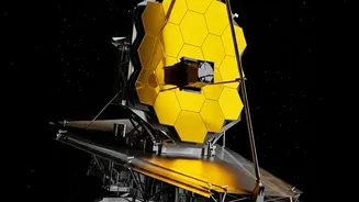 A Planetary Surprise: James Webb Finds Beta Pictoris d At 63 Light-Years
