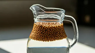Tackle Summer Gas Problems Effortlessly Using Steeped Coriander Seed Water