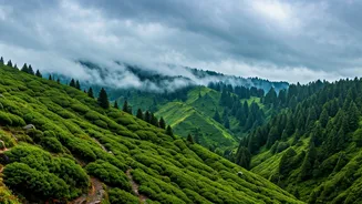 Monsoon Turns North India's Hills Into Dream Escapes