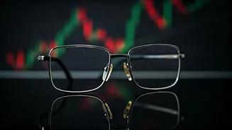 Lenskart IPO: A Clear Investment Path?