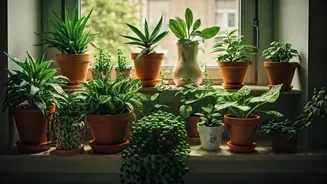 Grandma Garden Style Is The Cosy Plant Flex