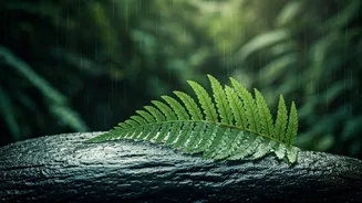 Off-Season Abroad Trips Are Getting A Monsoon Mood