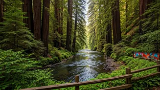 Guerneville: Northern California's Charming River Town Oasis with Redwoods and Artsy Flair