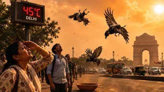 After Fish Deaths, Dehydrated Birds Fall From Delhi Skies Amid Scorching Heat