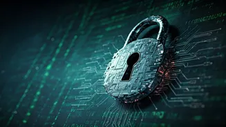 Fortifying Online Access: Understanding Website Security Verifications