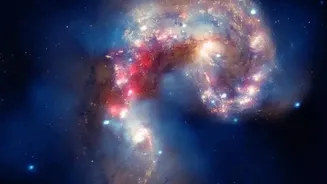 Webb's Little Red Dot Study: Space Readers Can Compare Extreme Distance and Hidden Galaxies before Interpreting a Distant Red Source