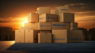 Shadowfax, Delhivery, Blue Dart: P/E Ratios Compared