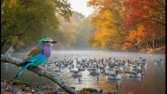 Birdwatching Can Build an Itinerary Around Seasons Instead of Attractions
