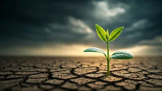 Related Stories banner