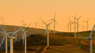 Invest In Green Energy: Sovereign Green Bonds Offer Fixed Returns For Young Earners Today