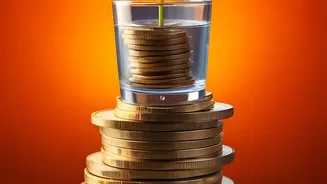 What to Check Before Using a Liquid Investment for Emergency Funds