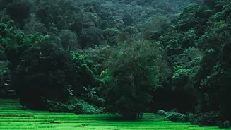 Travel Smarter Through The Western Ghats With This Rain-Season Packing Guide