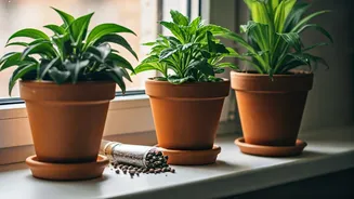 5 Clever Indoor Gardening Hacks for Thriving Greenery at Home!