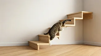 Build Elegant Wall Mounted Wooden Steps For Your Indoor Cats