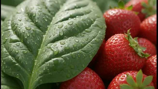 Nutrition Experts Explain The Vitamin C And Plant Iron Connection