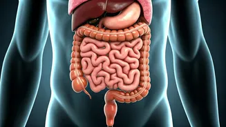 Restore Gut Health: 7 Holistic Tips for Indians Over 30