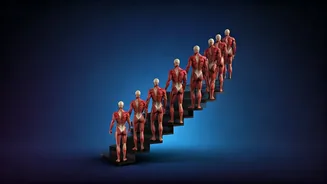 Unlock Your Dream Physique: A Deep Dive into Transformation Success