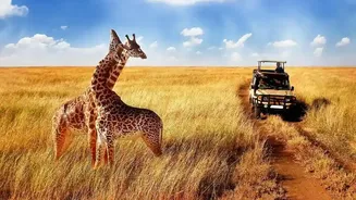 Vandarshan Packages Offer Confirmed Safari Permits Without Sighting Guarantees