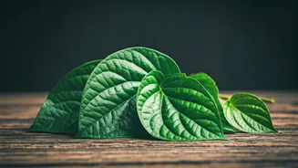 7 Health Perks of Betel Leaves: A Natural Wonder!