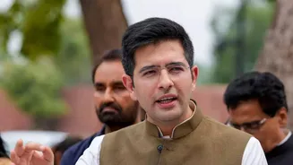 Know Raghav Chadha: Net Worth, Income Sources and Key Details