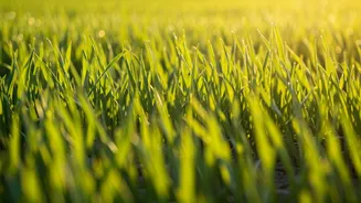 Making Farms Self-Reliant: A Roadmap