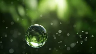 Avoid Falling Sick During India's Monsoon
