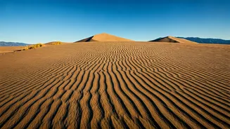Sam Dunes Are The Anti-Rain Escape To Save