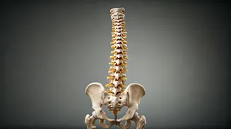 Improve Posture For Better Health Today