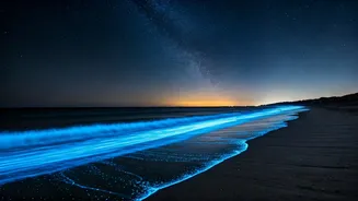 Night Sky Geeks Photograph Glowing Waves On Karnataka Coastal Beaches