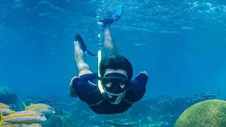 How travellers can discover India through diving, snorkelling and other water experiences