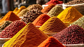 Exploring India: A Traveler's Daily Digest