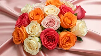 Valentine's Week 2026: A Guide to the Celebration!