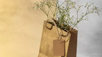 Why urban Indians are choosing eco-conscious festive hampers and plant gifts for friends