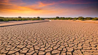 Kutch: India's Enigmatic District Boasting Nearly 100 Seasonal Rivers