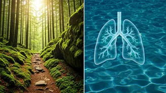 Breathe Easier: Hiking vs. Swimming for Superior Lung Health