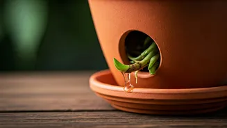 Pretty Pots Need Proper Drainage This Season